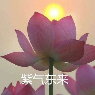魔法大火拼游戏下载