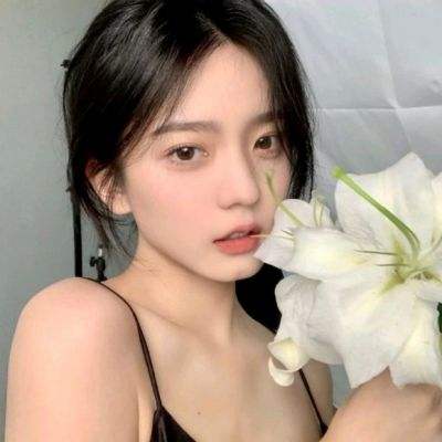 萌斗士无限晶石破解版下载
